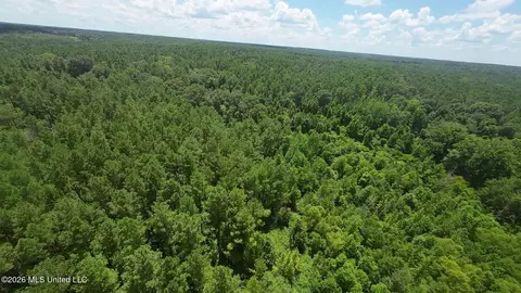 1026 Mt Olive Rd, Mount Olive, MS 39119 photo 61