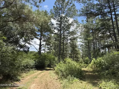 1026 Mt Olive Rd, Mount Olive, MS 39119 photo 42