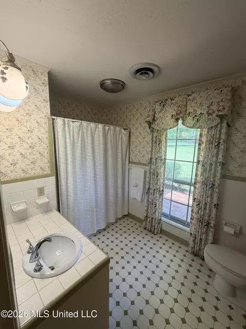 1026 Mt Olive Rd, Mount Olive, MS 39119 photo 35