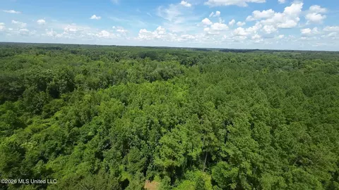 1026 Mt Olive Rd, Mount Olive, MS 39119 photo 62