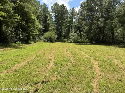 1026 Mt Olive Rd, Mount Olive, MS 39119 photo 48