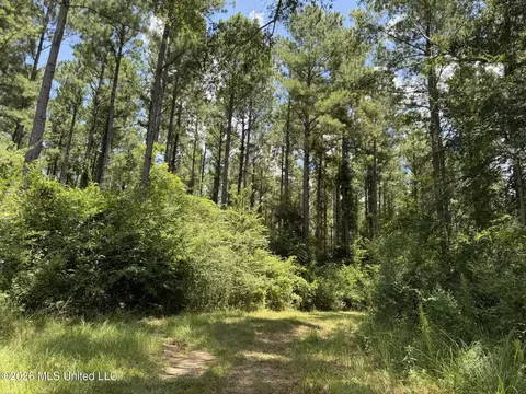 1026 Mt Olive Rd, Mount Olive, MS 39119 photo 43