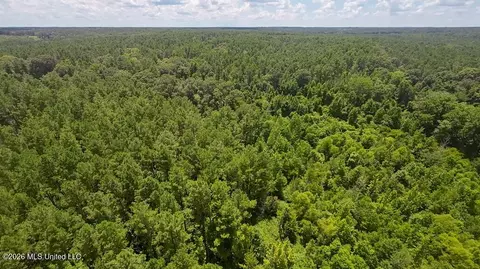 1026 Mt Olive Rd, Mount Olive, MS 39119 photo 56