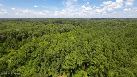 1026 Mt Olive Rd, Mount Olive, MS 39119 photo 57