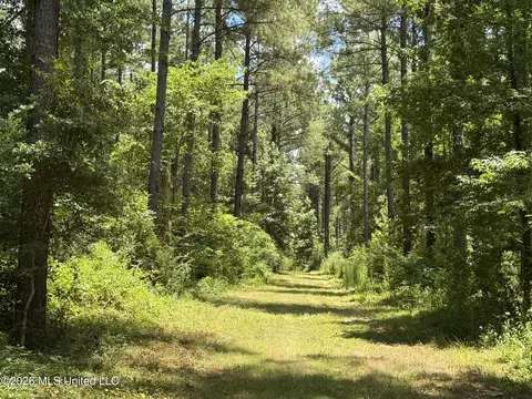 1026 Mt Olive Rd, Mount Olive, MS 39119 photo 45