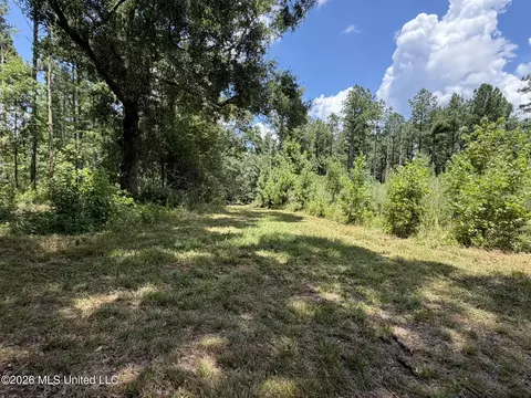 1026 Mt Olive Rd, Mount Olive, MS 39119 photo 47
