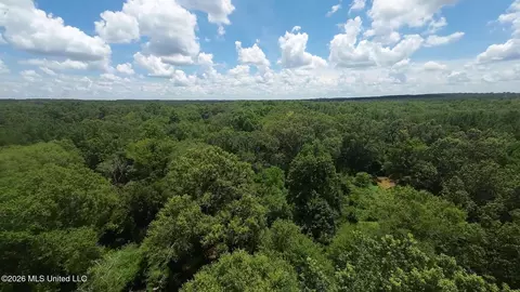 1026 Mt Olive Rd, Mount Olive, MS 39119 photo 60