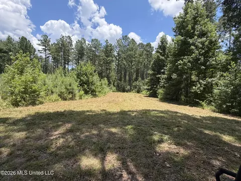 1026 Mt Olive Rd, Mount Olive, MS 39119 photo 46