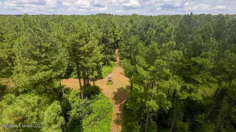 1026 Mt Olive Rd, Mount Olive, MS 39119 photo 2