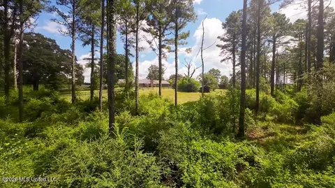 1026 Mt Olive Rd, Mount Olive, MS 39119 photo 41