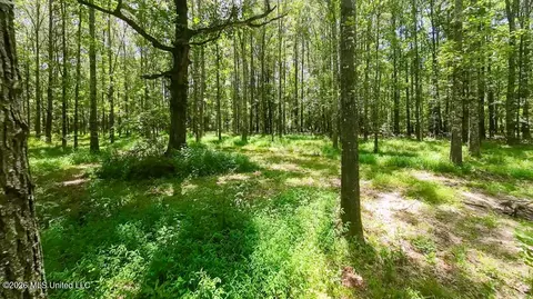 1026 Mt Olive Rd, Mount Olive, MS 39119 photo 9