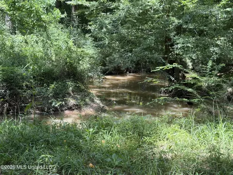 1026 Mt Olive Rd, Mount Olive, MS 39119 photo 51