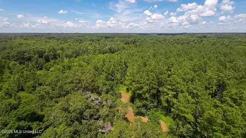 1026 Mt Olive Rd, Mount Olive, MS 39119 photo 58