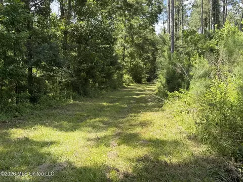 1026 Mt Olive Rd, Mount Olive, MS 39119 photo 54