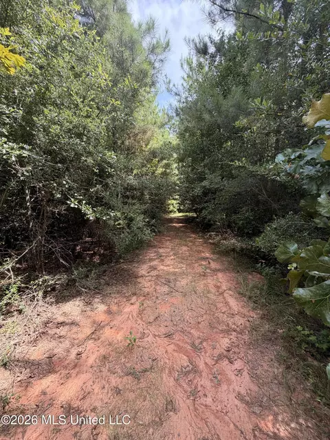 0 Beartown Rd, Jayess, MS 39641 photo 10