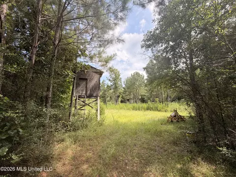 0 Beartown Rd, Jayess, MS 39641 photo 2