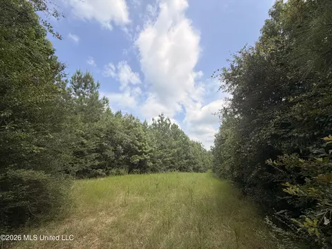 0 Beartown Rd, Jayess, MS 39641 photo 13