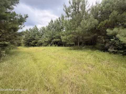 0 Beartown Rd, Jayess, MS 39641 photo 21