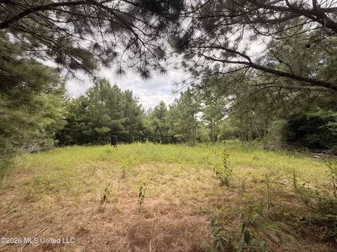 0 Beartown Rd, Jayess, MS 39641 photo 19