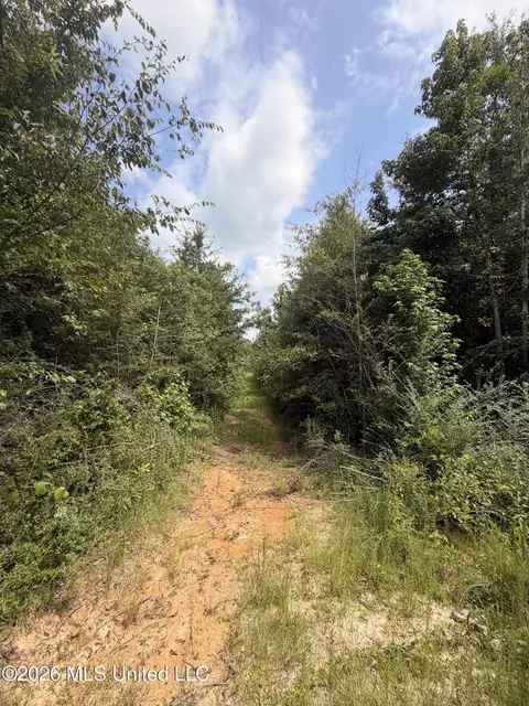 0 Beartown Rd, Jayess, MS 39641 photo 12