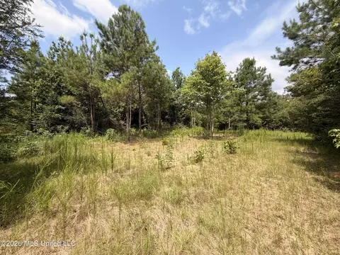 0 Beartown Rd, Jayess, MS 39641 photo 17