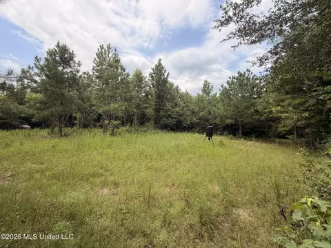 0 Beartown Rd, Jayess, MS 39641 photo 18