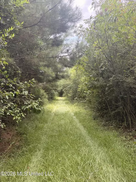 0 Beartown Rd, Jayess, MS 39641 photo 9