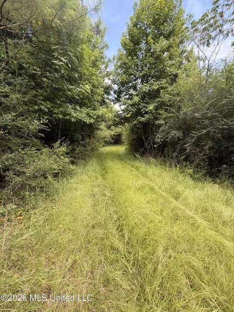 0 Beartown Rd, Jayess, MS 39641 photo 6