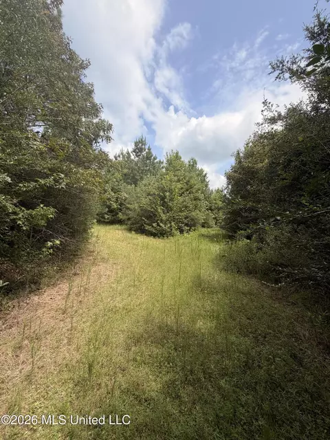 0 Beartown Rd, Jayess, MS 39641 photo 15