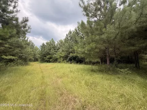 0 Beartown Rd, Jayess, MS 39641 photo 24