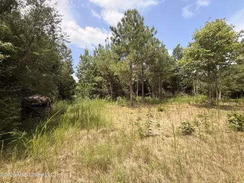 0 Beartown Rd, Jayess, MS 39641 photo 16