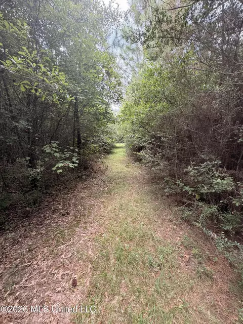 0 Beartown Rd, Jayess, MS 39641 photo 7