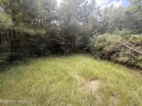 0 Beartown Rd, Jayess, MS 39641 photo 8