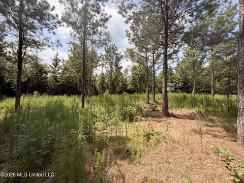0 Beartown Rd, Jayess, MS 39641 photo 5