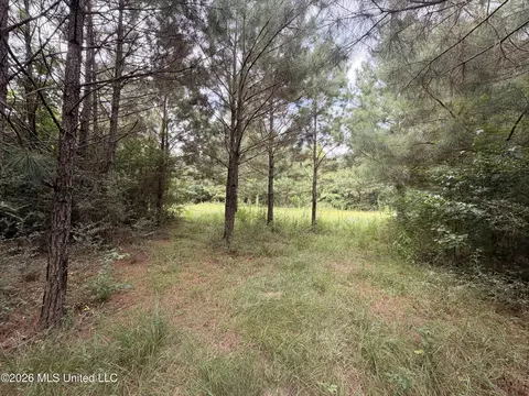 0 Beartown Rd, Jayess, MS 39641 photo 20