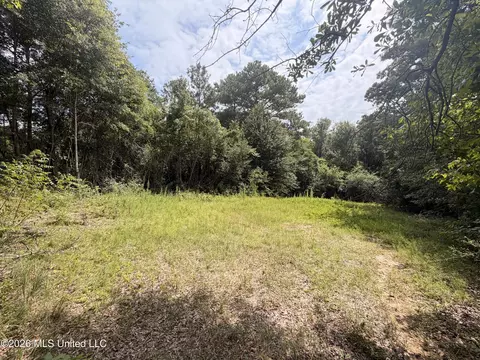 0 Beartown Rd, Jayess, MS 39641 photo 11