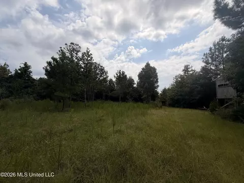 0 Beartown Rd, Jayess, MS 39641 photo 3