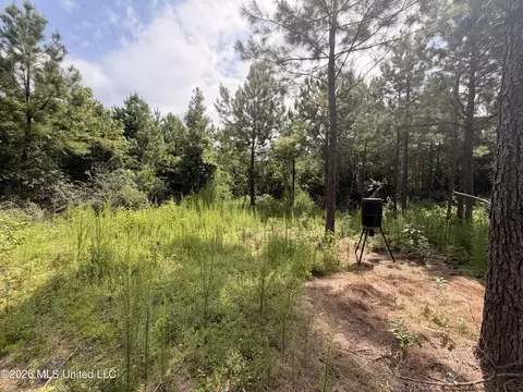 0 Beartown Rd, Jayess, MS 39641 photo 4