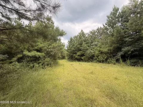 0 Beartown Rd, Jayess, MS 39641 photo 23