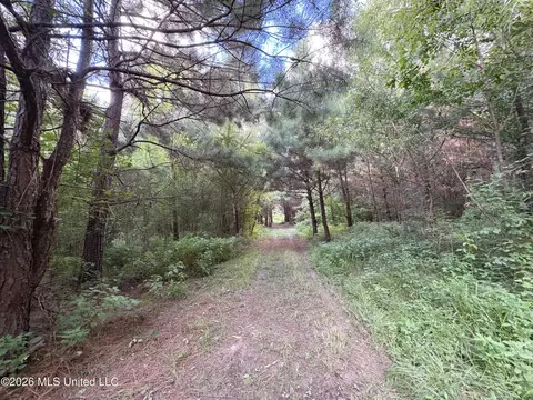 911 Nebo Rd #S, Gloster, MS 39638 photo 15