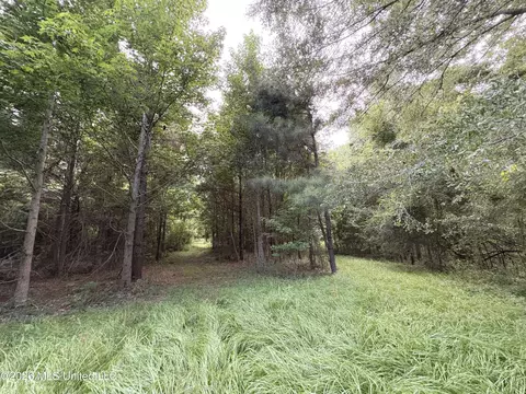 911 Nebo Rd #S, Gloster, MS 39638 photo 14