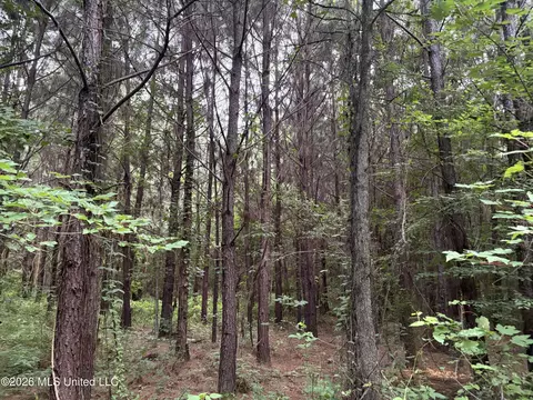 911 Nebo Rd #S, Gloster, MS 39638 photo 7
