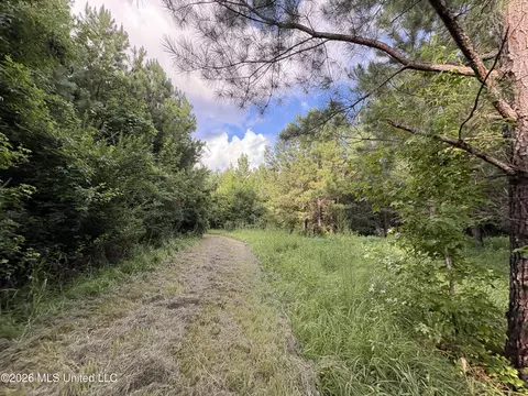 911 Nebo Rd #S, Gloster, MS 39638 photo 16