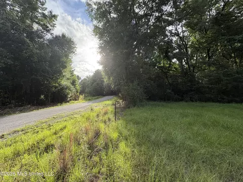 911 Nebo Rd #S, Gloster, MS 39638 photo 18