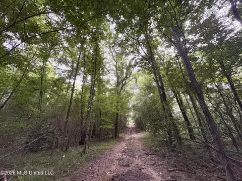 911 Nebo Rd #S, Gloster, MS 39638 photo 6