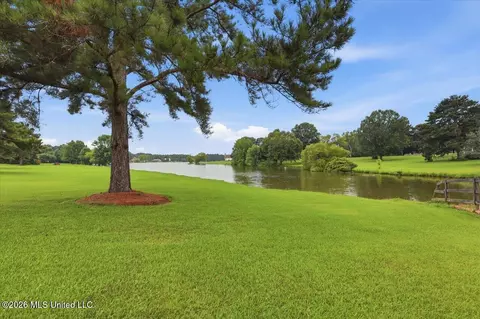 View/Area - 116 Sky Meadow Rd, Flora, MS 39071 photo 1 of 7