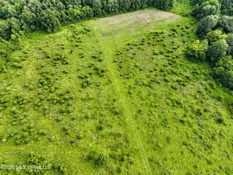 275 Dampeer Rd, Canton, MS 39046 photo 10