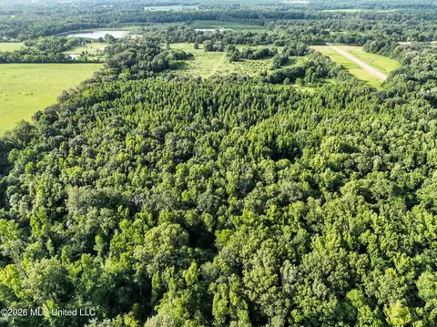 275 Dampeer Rd, Canton, MS 39046 photo 17