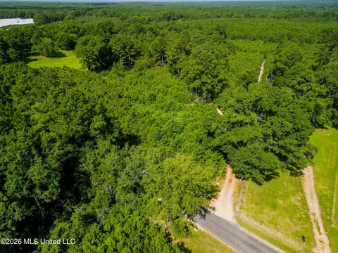 585 Carson-bunkerhill Rd, Carson, MS 39427 photo 10