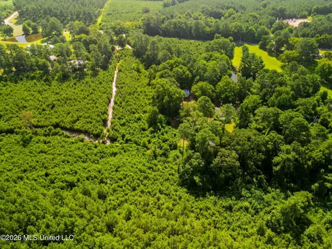 585 Carson-bunkerhill Rd, Carson, MS 39427 photo 16